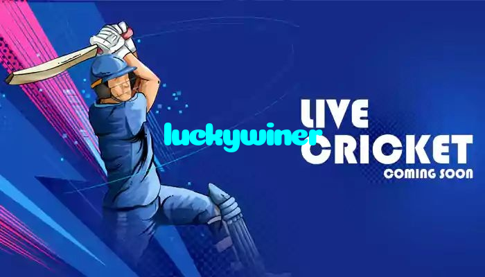 luckywiner casino presented on mobile device in Pakistan with slots and live games